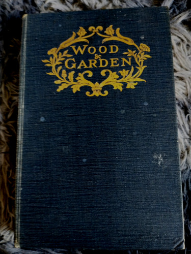 Wood garden by gertrude - wood,